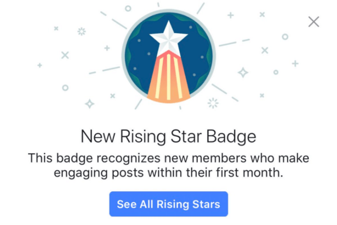 Facebook-Abzeichen Rising Star